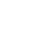 Dual AI Processing